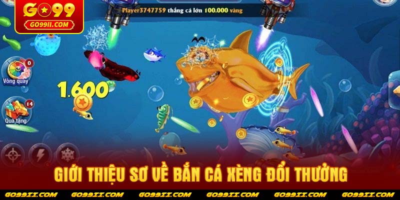 Giới thiệu sơ về bắn cá xèng đổi thưởng