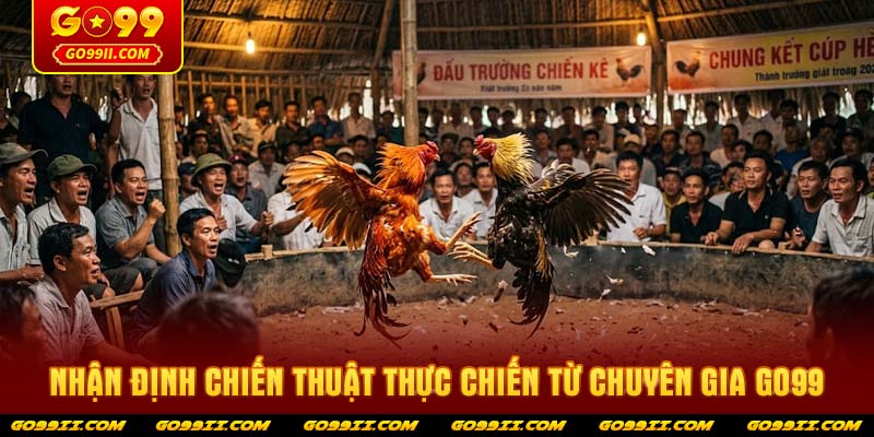 Nhận định chiến thuật thực chiến từ chuyên gia GO99